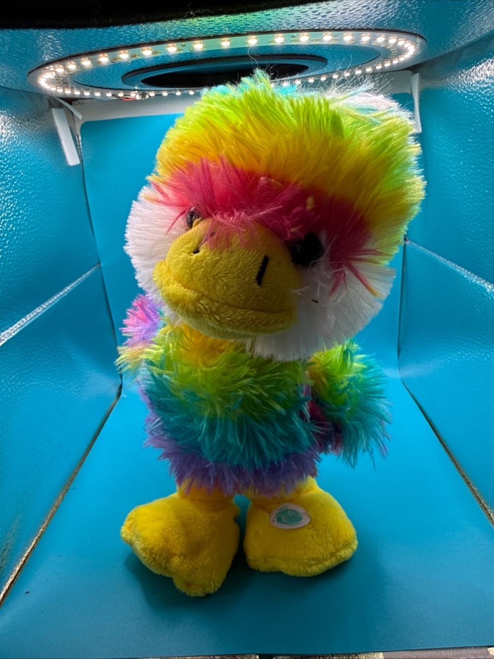 Dan Dee Rainbow Dancing Chick Plush 10" Musical Dancing To The Chicken Dance